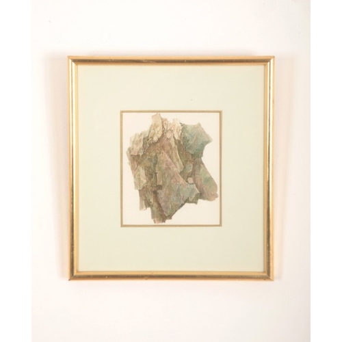 85 - *DAVID GREEN (20th century) 'Rose Stem'

botanical study, watercolour, 37.5cm x 27cm; together with ... 