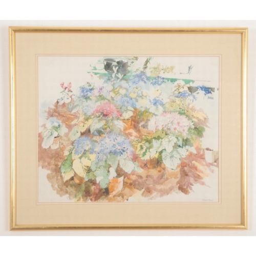 86 - *SUSAN SHAW (Contemporary) 'Cinerarias'

signed lower right, titled to a Heal's Art Gallery label ve... 