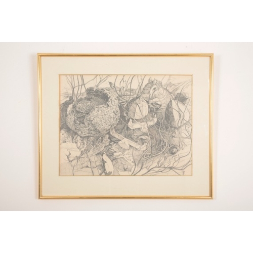 88 - *ANGELA GLADWELL (Contemporary) 'Wasp Nest'

still life study, signed and dated '77 lower right, pen... 