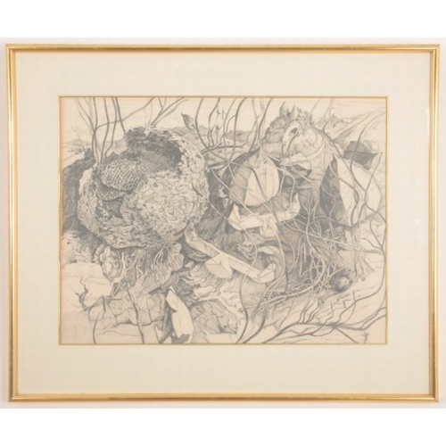 88 - *ANGELA GLADWELL (Contemporary) 'Wasp Nest'

still life study, signed and dated '77 lower right, pen... 