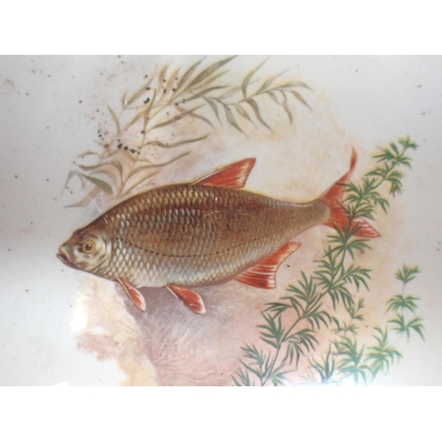 161 - A FRENCH FISH SERVICE with large oval platter, decorated with fish (one plate damaged)