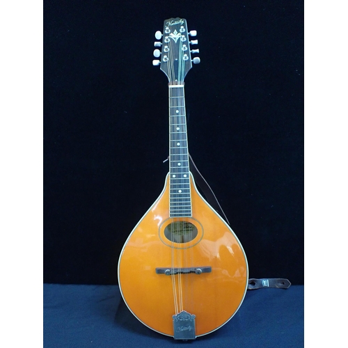 211 - A KENTUCKY MANDOLIN: STYLE: KM-172: NO: 11073901