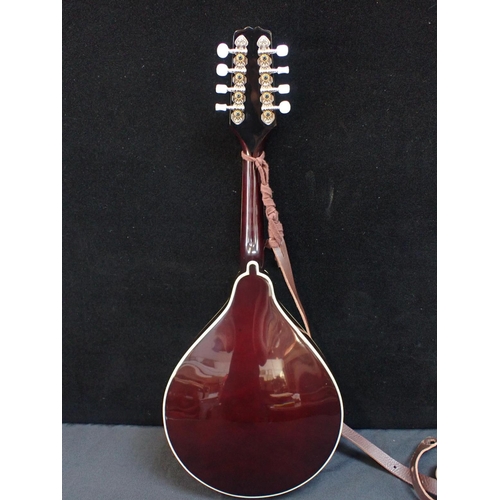 211 - A KENTUCKY MANDOLIN: STYLE: KM-172: NO: 11073901