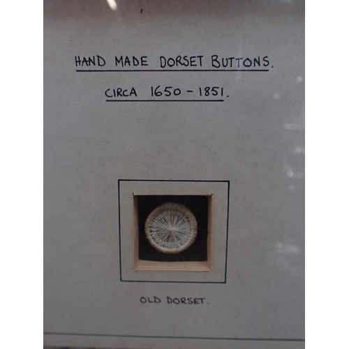 243 - A FRAMED COLLECTION OF DORSET BUTTONS various types; 'Dorset knobs', 'High tops', 'Bird's eyes', 'Si... 