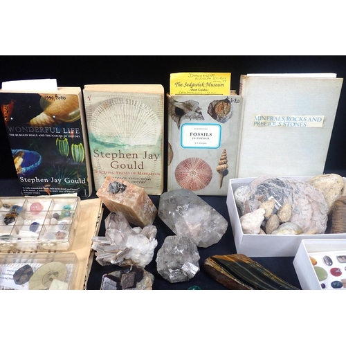 274 - A COLLECTION OF MINERAL SPECIMENS some shaped and polished, a few fossils including a trilobite, and... 