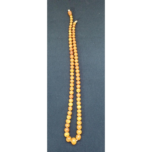 423 - AN AMBER NECKLACE with graduated beads, probably 19th century