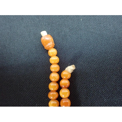 423 - AN AMBER NECKLACE with graduated beads, probably 19th century