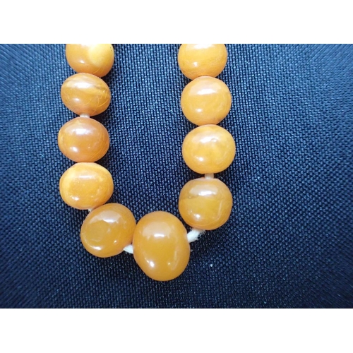 423 - AN AMBER NECKLACE with graduated beads, probably 19th century