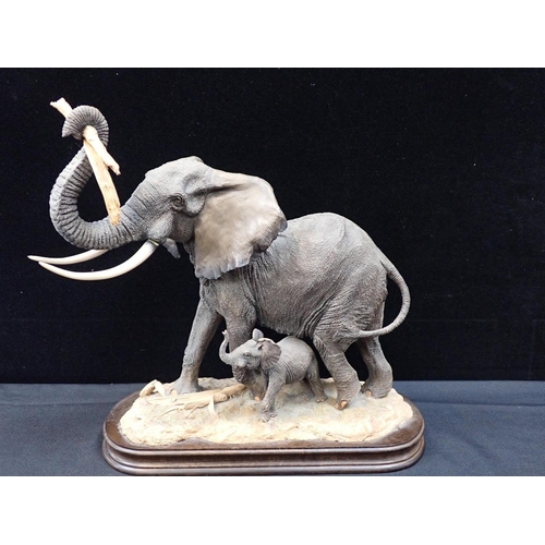 Lot 29        
