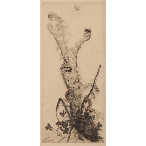 13 - *KATHARINE CAMERON (1874-1965) 'The Mountain Fern'

signed in plate lower left, signed in pencil to ... 