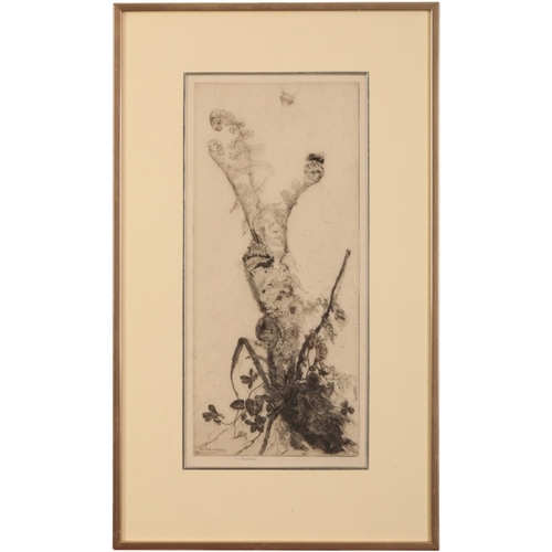 13 - *KATHARINE CAMERON (1874-1965) 'The Mountain Fern'

signed in plate lower left, signed in pencil to ... 