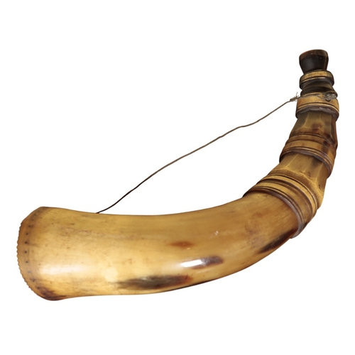 195 - A COW HORN GUN POWDER FLASK

circa 1850, with ribbed decoration, 33cm long