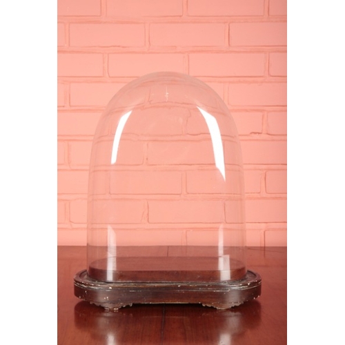 217 - A VICTORIAN GLASS DOME

on painted pine base, 44cm high x 34cm long x 18cm wide