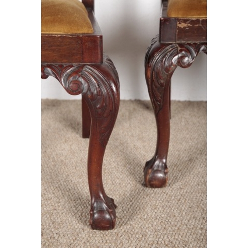 593 - A PAIR OF GEORGE III CHIPPENDALE STYLE SIDE CHAIRS

with cabriole legs on ball claw feet; together w... 