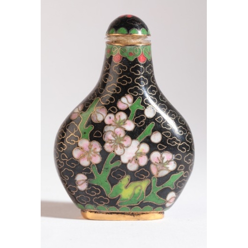 122 - A CHINESE CLOISONNE SNUFF BOTTLE

19th/20th century, of pear shape and decorated with flowers to bot... 