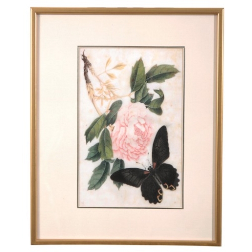 523 - CHINESE SCHOOL, EARLY 20TH CENTURY A group of eight botanical studies

watercolours on rice paper, a... 