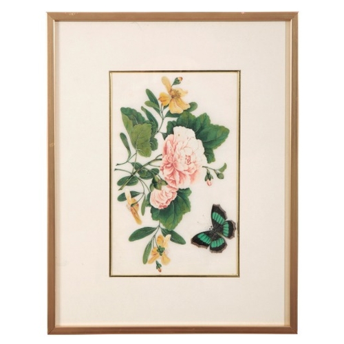 523 - CHINESE SCHOOL, EARLY 20TH CENTURY A group of eight botanical studies

watercolours on rice paper, a... 