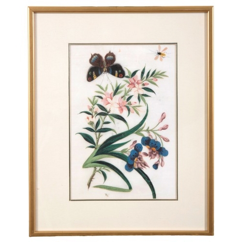 523 - CHINESE SCHOOL, EARLY 20TH CENTURY A group of eight botanical studies

watercolours on rice paper, a... 