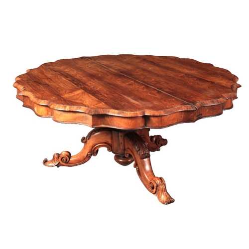 43 - A WILLIAM IV ROSEWOOD SUPPER TABLE

the tilt top with a shaped edge and conforming frieze on a balus... 