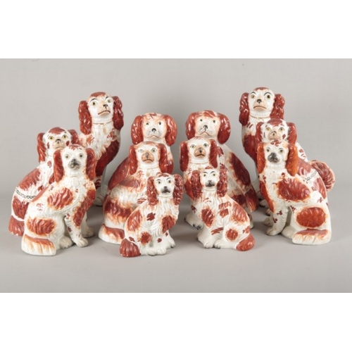 8 - A LITTER OF 19TH CENTURY STAFFORDSHIRE POTTERY SPANIELS

all red highlighted, comprising six pairs, ... 