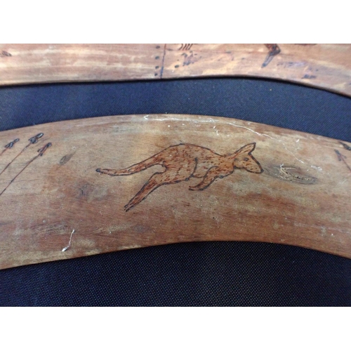 119 - THREE AUSTRALIAN ABORIGINAL BOOMERANGS

two inscribed 'Muddie Duddie Tribe, Murray River' (3)