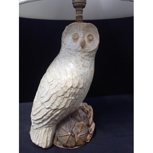 225 - BERNARD ROOKE POTTERY; AN OWL TABLE LAMP

28cm high plus fittings (untested)