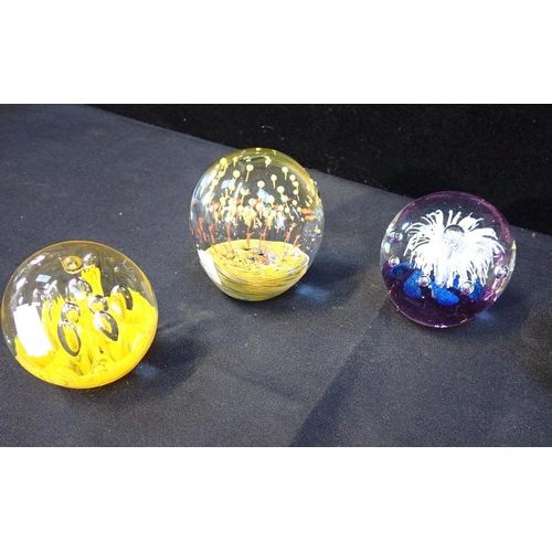 289 - SIX GLASS PAPERWEIGHTS