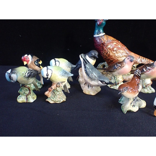 314 - BESWICK: A COLLECTION OF VARIOUS SMALL BIRDS

with a pheasant, a swan, and an owl (18)