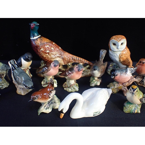 314 - BESWICK: A COLLECTION OF VARIOUS SMALL BIRDS

with a pheasant, a swan, and an owl (18)