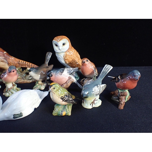 314 - BESWICK: A COLLECTION OF VARIOUS SMALL BIRDS

with a pheasant, a swan, and an owl (18)