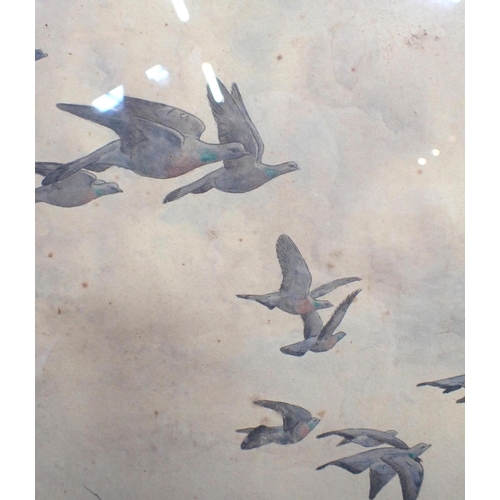 663 - *GEORGE EDWARD COLLINS (1880-1968) 'A FLOCK OF STOCK DOVES TAKING FLIGHT'

signed and dated 1910 low... 