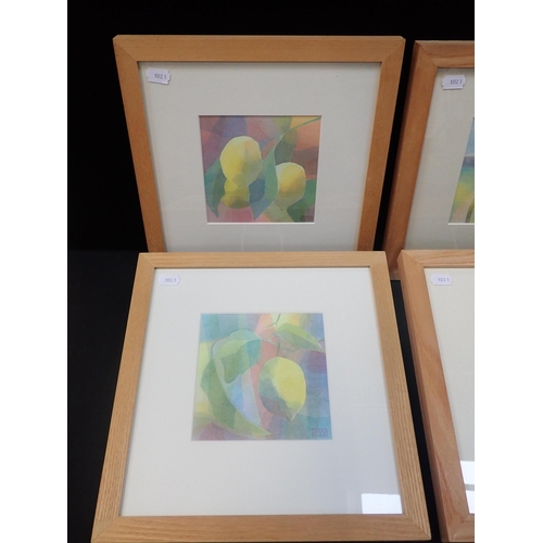 698 - ANNABEL WILSON (CONTEMPORARY); SIX PASTEL COLOURED WATERCOLOURS

framed