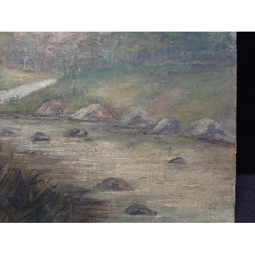 714 - A 19th CENTURY NAIVE OIL ON CANVASBOARD LANDSCAPE

with house by a river, unframed 20 x 30cm