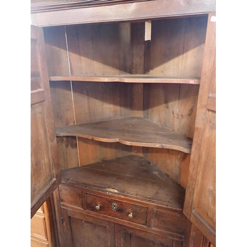 833 - A GEORGE III OAK CORNER CUPBOARD

two pairs of panelled doors enclosing shaped shelves, with single ... 