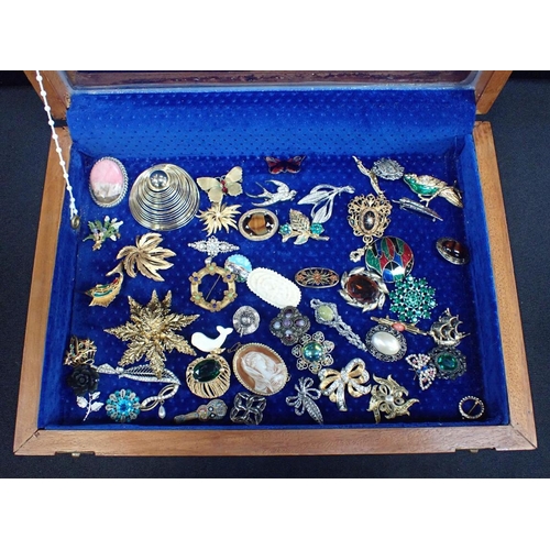 336 - A COLLECTION OF VINTAGE BROOCHES

including a butterfly brooch, contained in a glazed display case