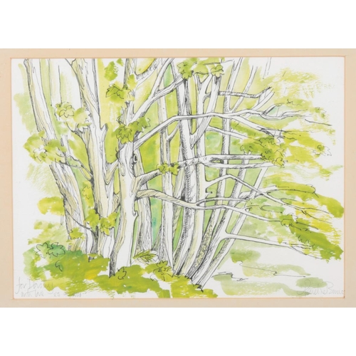 436 - *PENELOPE BURNS (20th Century) A study of trees

2000, signed lower right, dated and inscribed lower... 