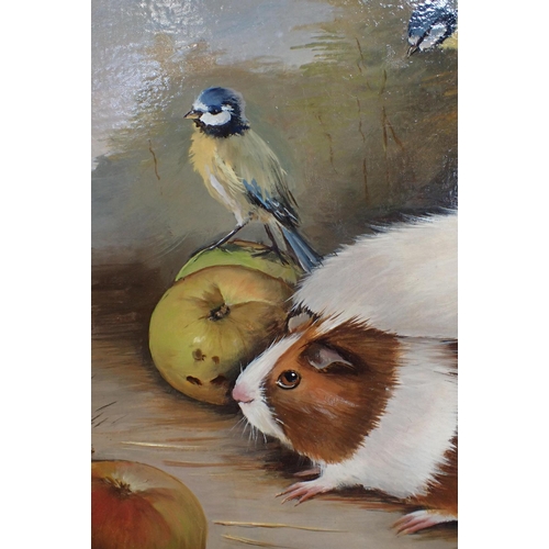 437 - GUINEA PIGS AND BLUE TITS, OIL ON CANVAS

indistinctly signed, and dated 2015, 49 x 44cm framed