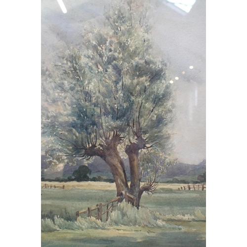 472 - MURIEL BUCKLER (20th century) a tree in a meadow

signed lower right, watercolour, 31cm x 27cm