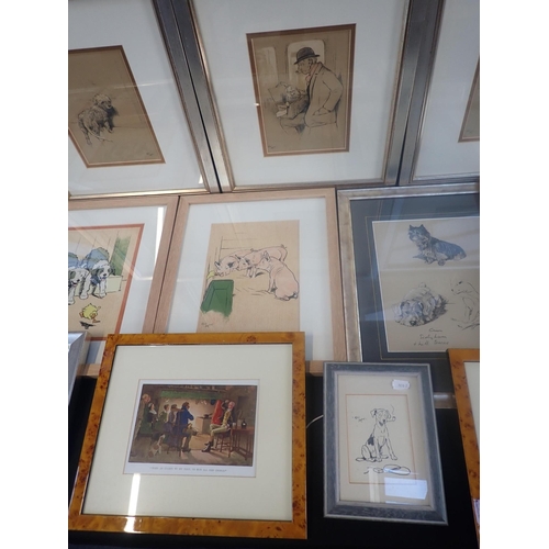 509 - COLLECTION OF CECIL ALDIN PRINTS