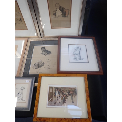 509 - COLLECTION OF CECIL ALDIN PRINTS