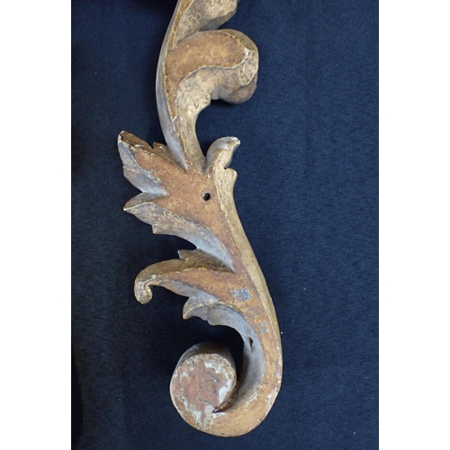 88 - THREE GILTWOOD FOLIATE ROCOCO SCROLLS

39cm long