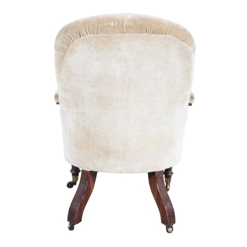 273 - A VICTORIAN GRAINED WOOD OPEN ARMCHAIR

with button back velvet covers, on turned front legs and out... 