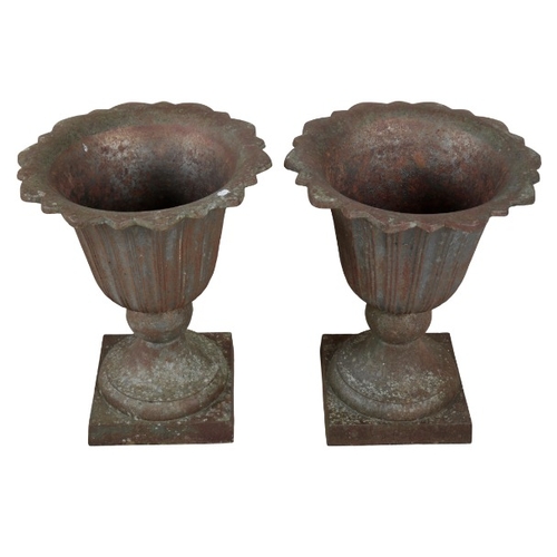 323 - A PAIR OF CAST IRON GARDEN URNS

of campana shape, with fluted tapered bodies on square plinth bases... 