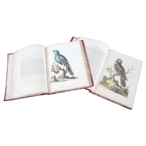 357 - EDWARDS, GEORGE: 'A NATURAL HISTORY OF UNCOMMON BIRDS'

volumes 1-3, fo, printed for the author at t... 