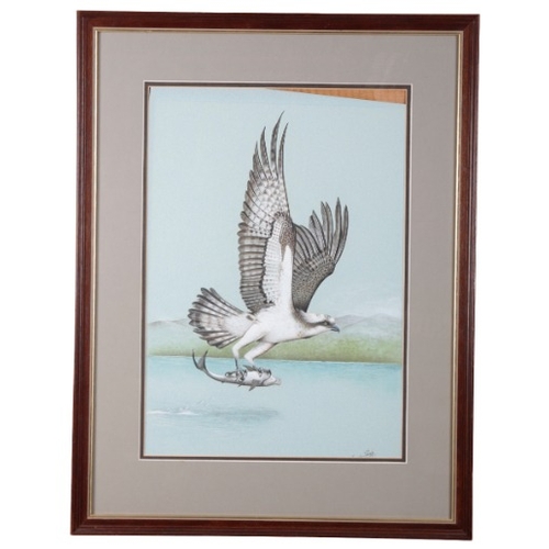 121 - *E.H. PEAKE (b.1940) 'Osprey with a Fish'

1981, signed lower right and labelled verso, watercolour ... 