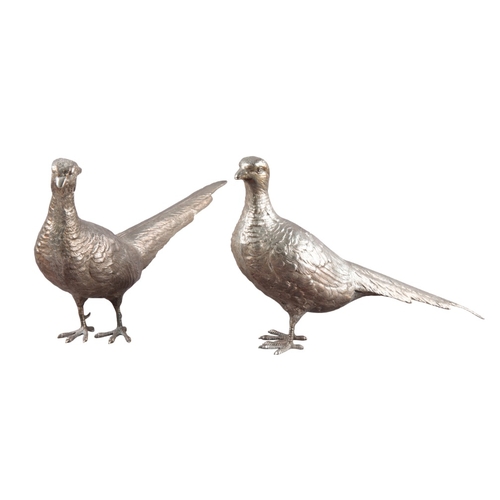 243 - A PAIR OF WHITE METAL COCK AND HEN PHEASANTS

12cm x 18cm (2)