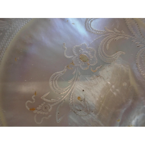 236 - A PAIR OF CONTINENTAL MOTHER OF PEARL CABINET PLATES