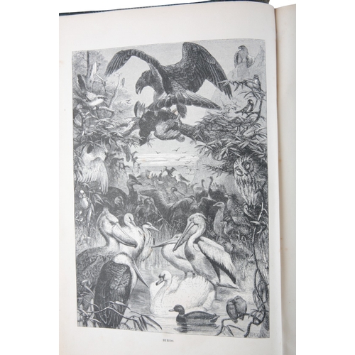 474 - WOOD, J. G.: 'THE ILLUSTRATED NATURAL HISTORY'

three volumes, comprising 'Mammalia', 'Birds' and 'R... 
