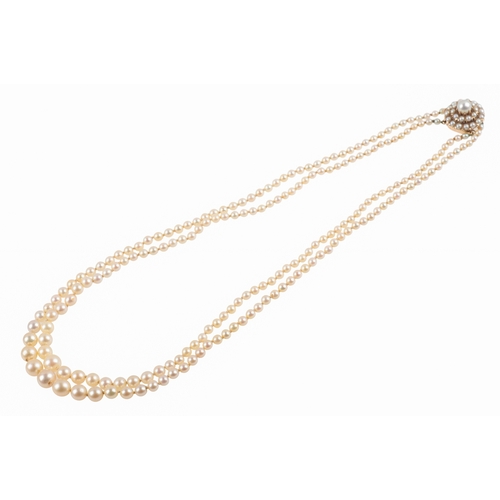 126 - A DOUBLE STRAND CULTURED PEARL NECKLACE each graduated pearl knotted, terminating onto a 14k gold cl... 