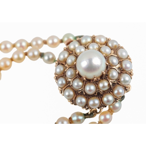 126 - A DOUBLE STRAND CULTURED PEARL NECKLACE each graduated pearl knotted, terminating onto a 14k gold cl... 